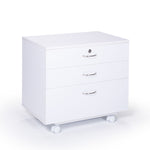Koala Companion Chest