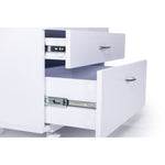 Koala Companion Chest