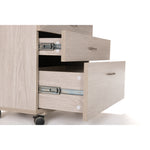 Koala Companion Chest