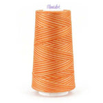 Maxi-Lock Swirls Variegated Thread
