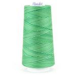 Maxi-Lock Swirls Variegated Thread