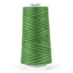 Maxi-Lock Swirls Variegated Thread