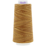Maxi-Lock Swirls Variegated Thread