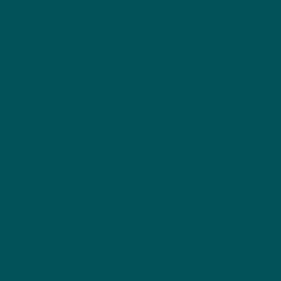 Gutermann Heavy Duty Polyester - 784 Spruce