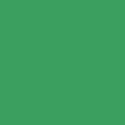 Gutermann Heavy Duty Polyester - 760 Kelly Green