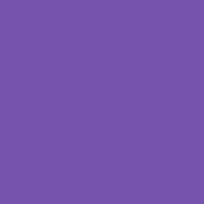 Gutermann Sew-All Polyester Thread - 925 Parma Violet