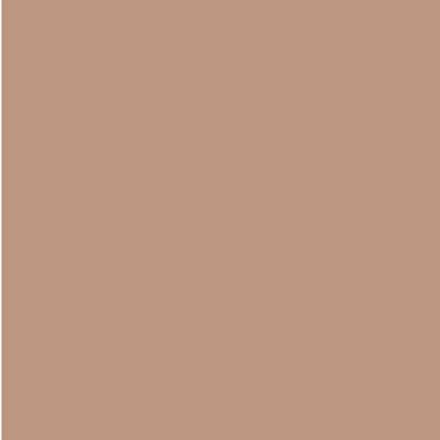 Gutermann Sew-All 50wt Polyester Thread - 509 Beige