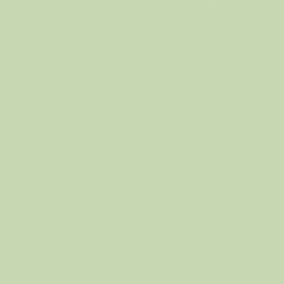 Gutermann Heavy Duty Polyester - 704 Light Green