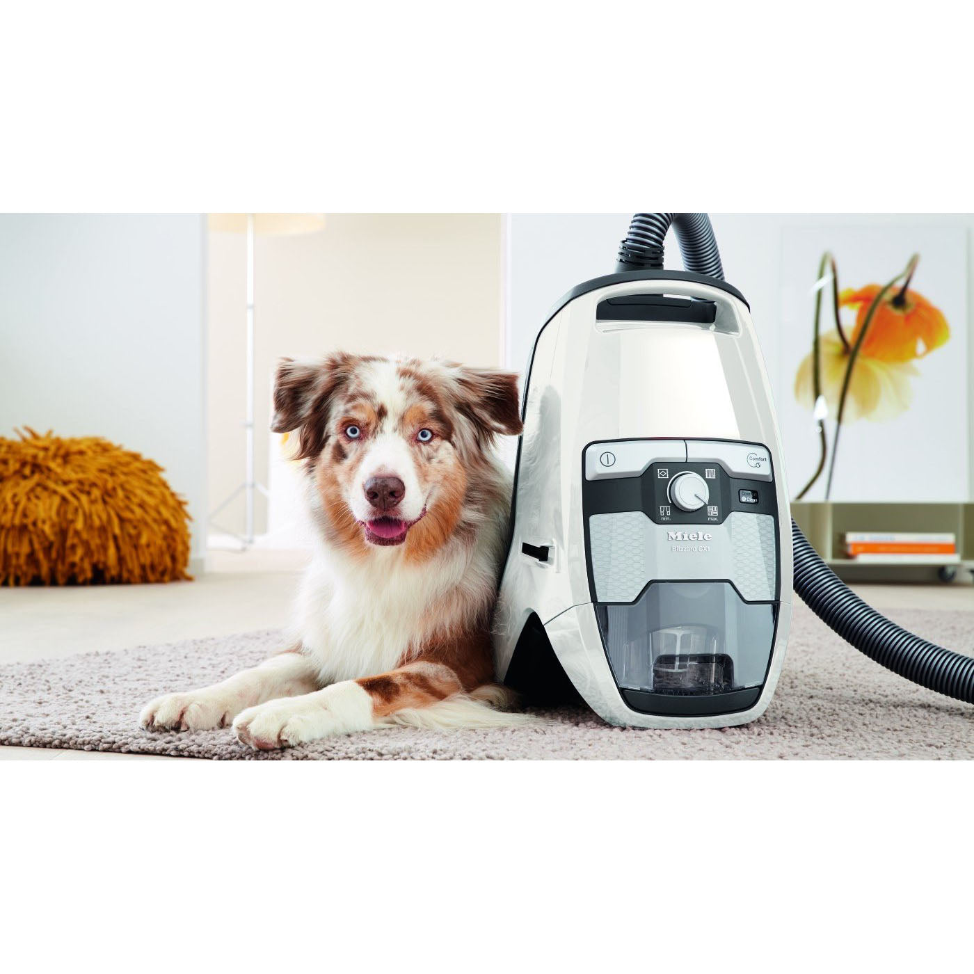 Miele Blizzard CX1 Cat &amp; Dog