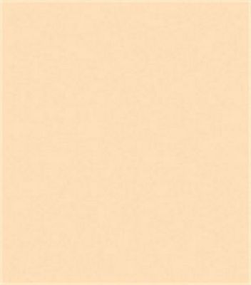 Gutermann Sew-All 50wt Polyester Thread - 797 Buff